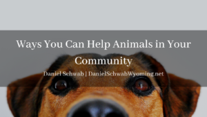 Daniel Schwab Wyoming - animals in the community