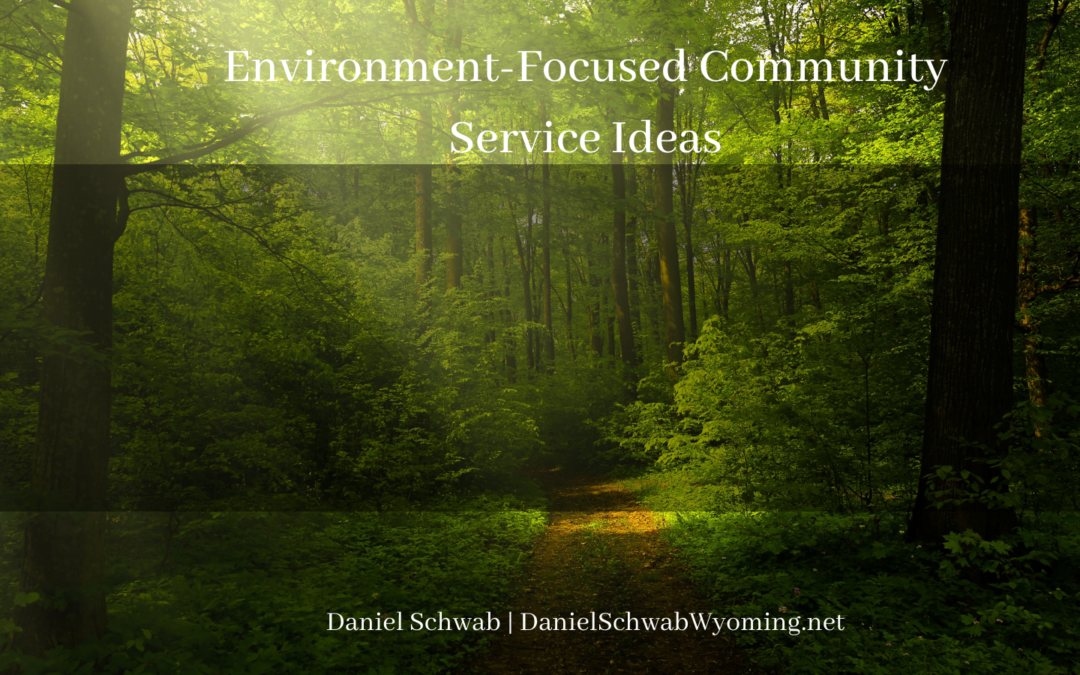 Environment-Focused Community Service Ideas