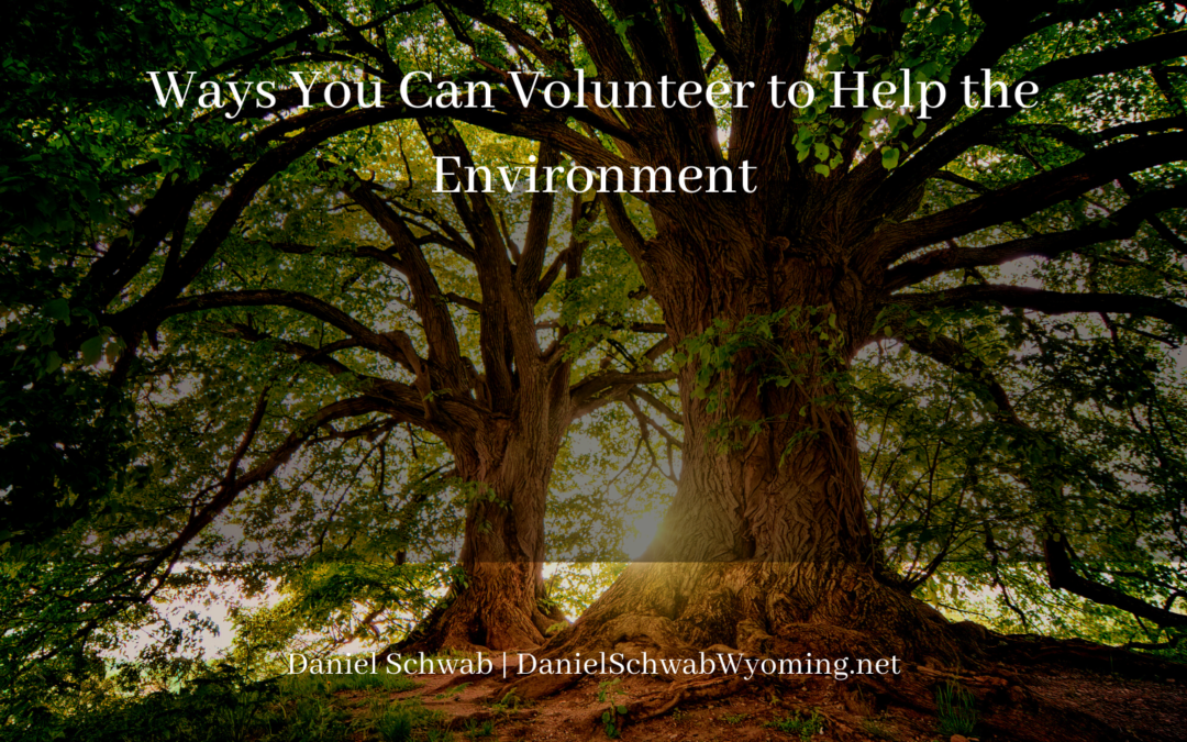 Daniel Schwab Wyoming Volunteer to help the Environment