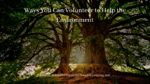 Daniel Schwab Volunteer to help the Environment
